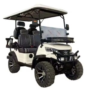 48v electric street legal golf carts 